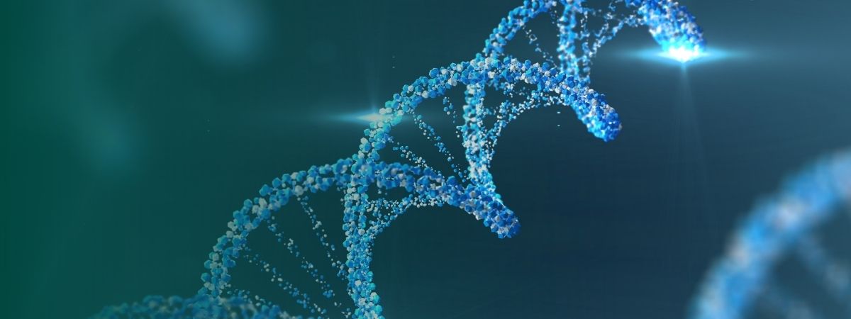 Kickoff Epigenetik – Was ist eigentlich Epigenetik? (Teil 1)