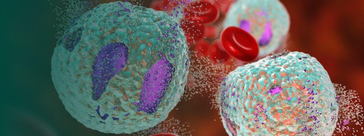 Quand les parasites perturbent notre équilibre : approche fonctionnelle et so...