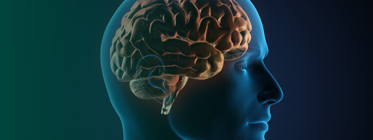 Vetzuren als breinbrandstof, energiebooster & ontstekingsremmer