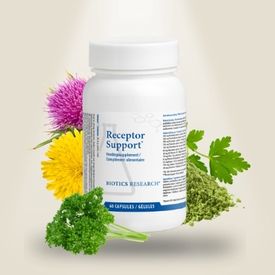 Receptor Support