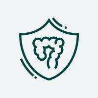 Système immunitaire dans les intestins