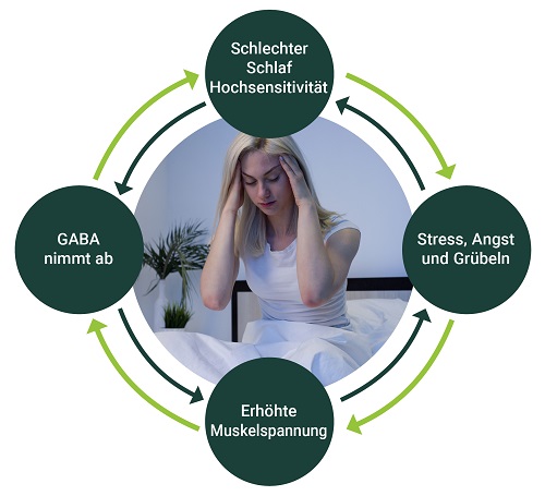 Teufelskreis der Auswirkungen von Stress und Angst auf GABA