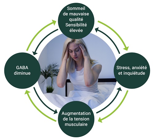 Cercle vicieux de l’impact du stress et de l’anxiété sur le GABA
