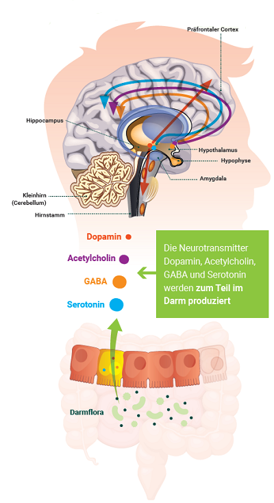 Neurotransmitter