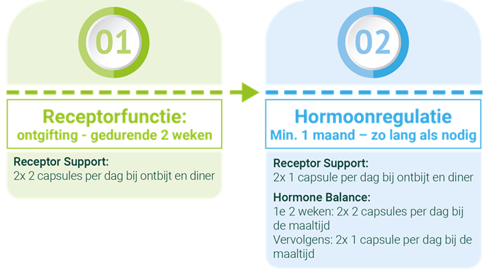 Grafiek hormonen