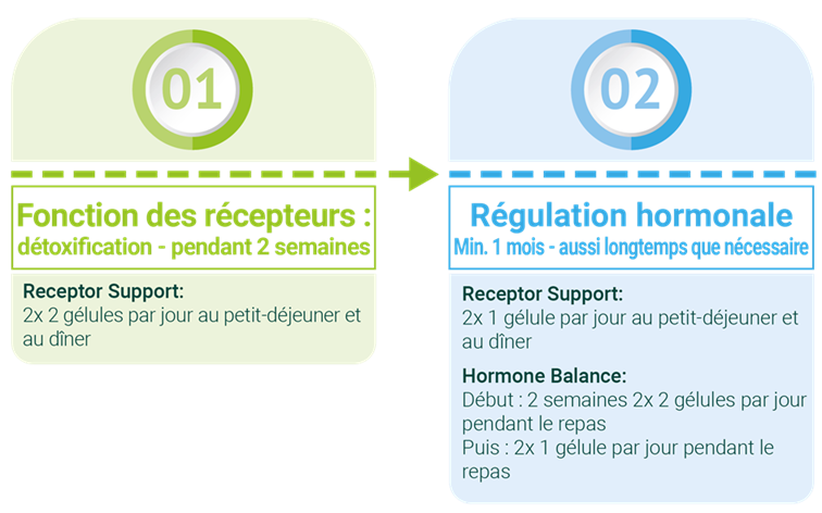 Synergie Graphic Hormone