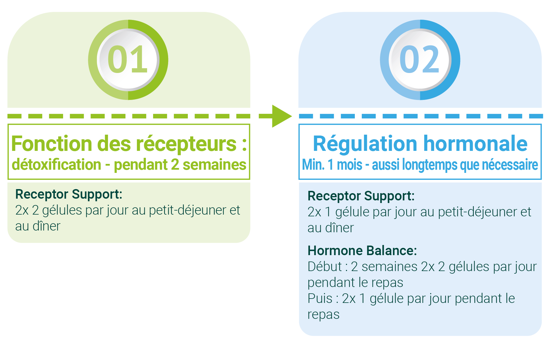 hormone balance graphic