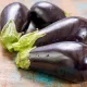 aubergines