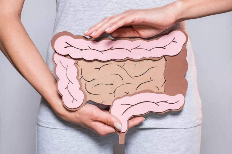 lactobacillus-acidophilus-dds