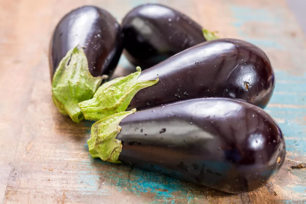 aubergines