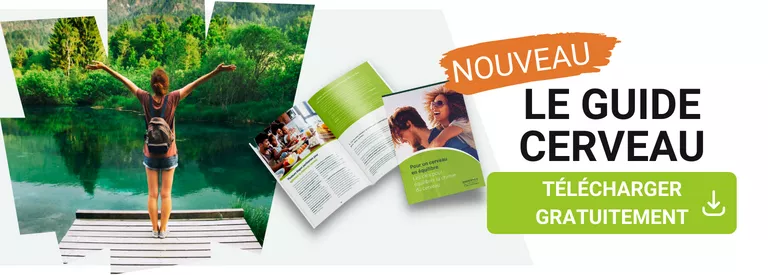 Guide cervau