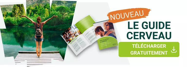 Le guide cerveau