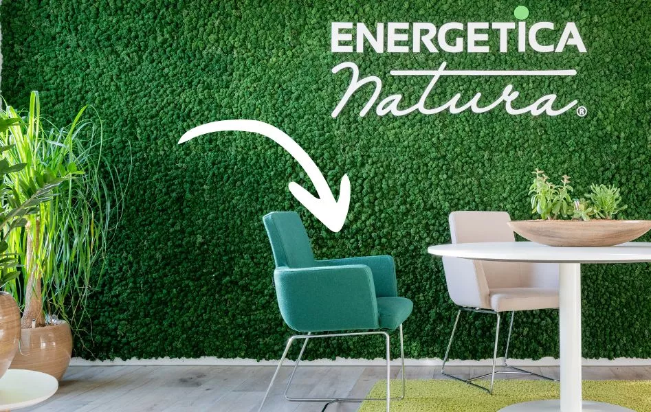 Vacature Marketing Executive France