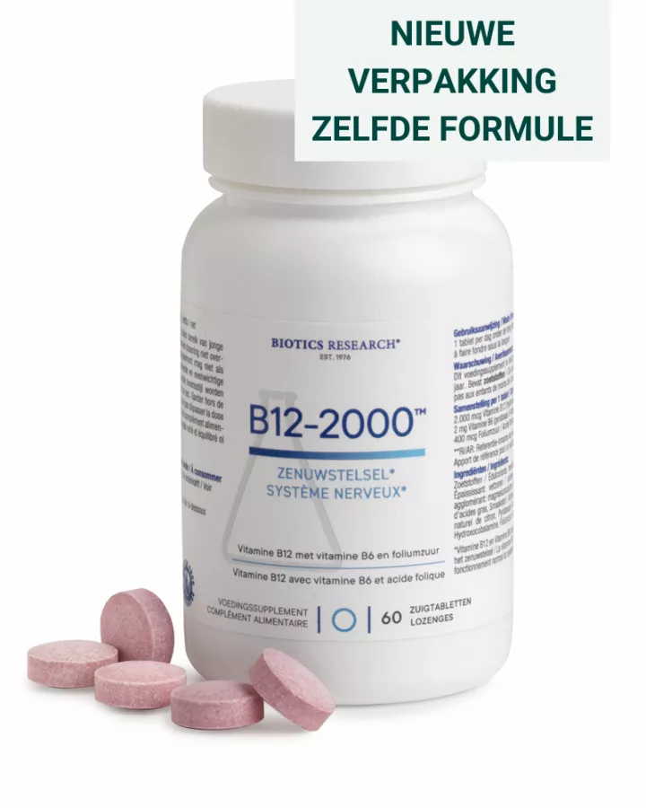 B12-2000 NL