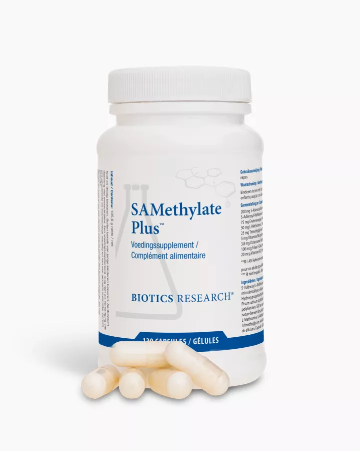 SAMethylate Plus nl_fr - 2