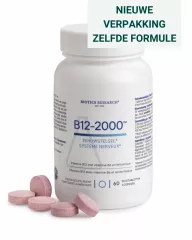 B12-2000 NL