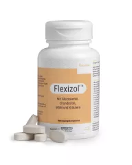 FLEXIZOL - 60 TAB - DE0061 - 8718144240917_pack shot_product