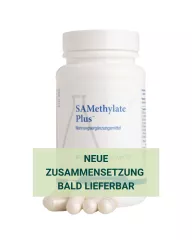 SAMethylate DE