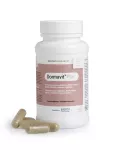 DORMAVIT PLUS - 60 TAB COMP - KR4730 - 0780053008368_pack shot_product