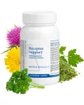 Receptor Support plantjes NL