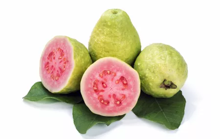 Guava