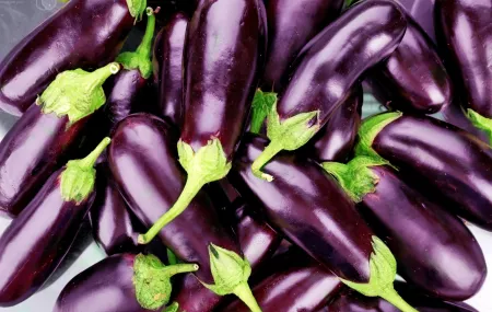 aubergine