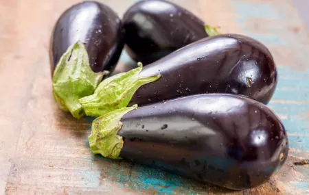 aubergines