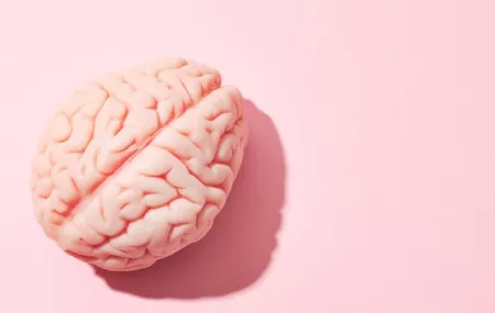 7 slimme tips voor een gezonde hersenchemie