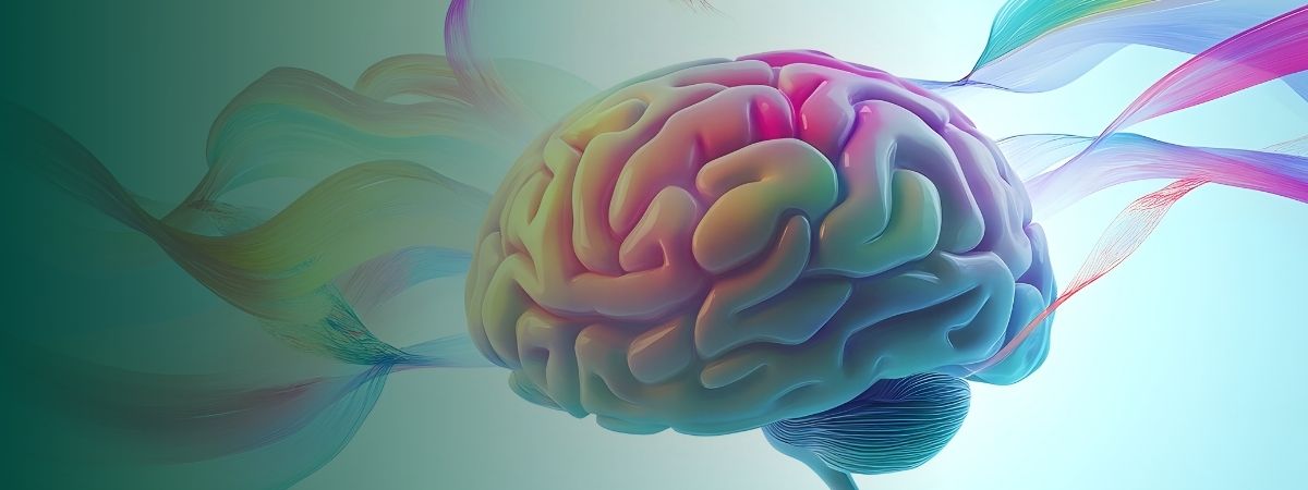 Brein en Energie: Orthomoleculaire strategieën voor focus & vitaliteit