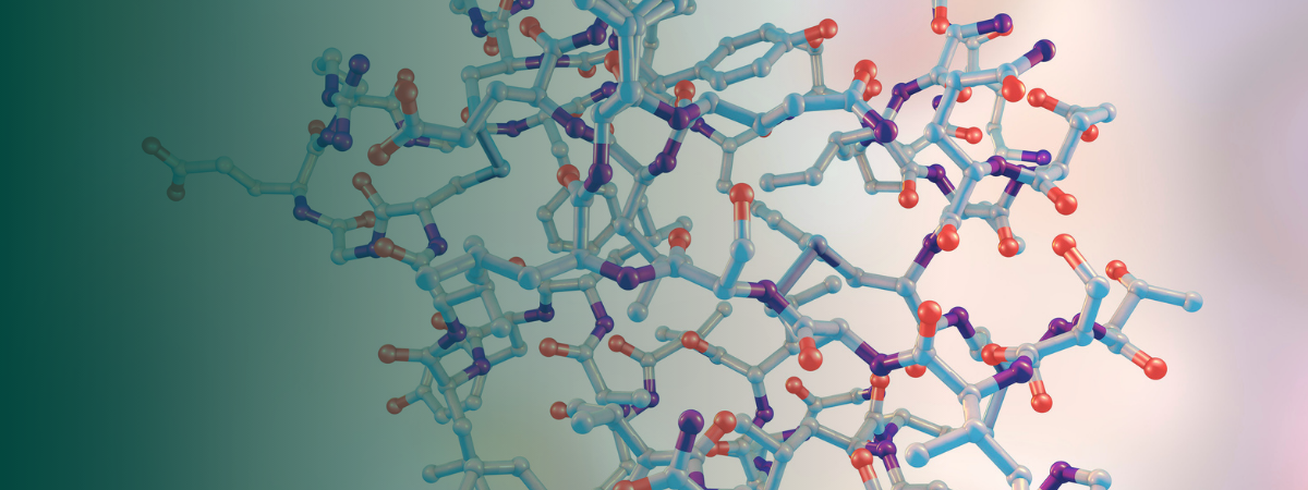 Insulinresistenz verstehen – Diagnostik und Therapie im Praxisalltag