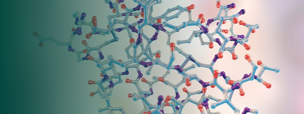 Insulinresistenz verstehen – Diagnostik und Therapie im Praxisalltag
