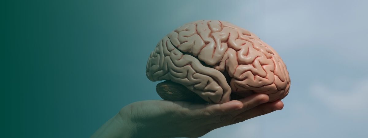 L'axe cerveau-intestin dans la fatigue chronique et la fibromyalgie