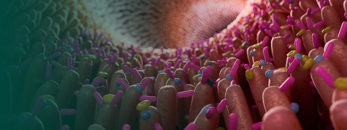 Systemische enzymtherapie: diepgaande aanpak van ontsteking, immuniteit en he...
